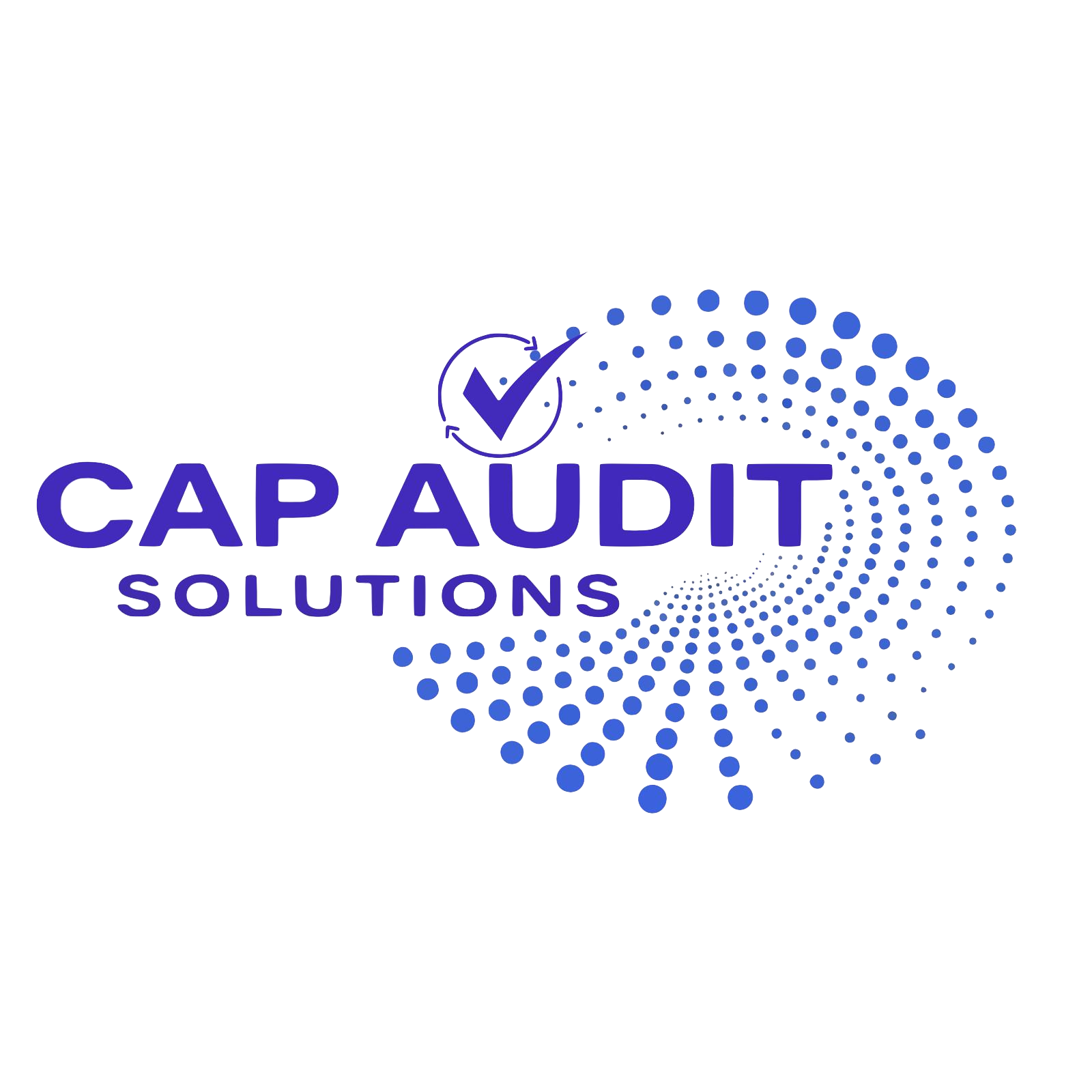 CAP Audit